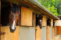 free Pevensey stable construction quotes